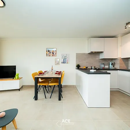 Ace - L'ecume - - Dichtbij En Voorzieningen La Panne